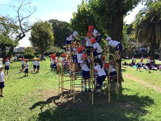 ジャングルジムで遊ぶ児童の様子