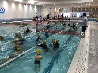 水泳授業の様子