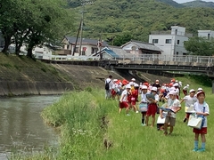 草が生い茂っている河川敷を帽子を被った複数の児童達が並んで歩いている写真