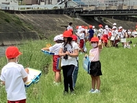 草が生い茂っている河川敷のような所で帽子を被った児童達が探検バックを手に持ちペンを持って記載していたり歩いている写真