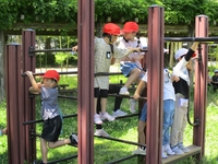 複数の児童達が遊具の上に登ったりぶら下がり遊んでいる写真