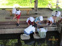 複数の児童達が公園内にある池のような所でしゃがんでいる写真