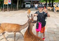 奈良公園でポーズをとっている1人の児童と2匹の鹿の写真