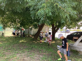 生き物発見