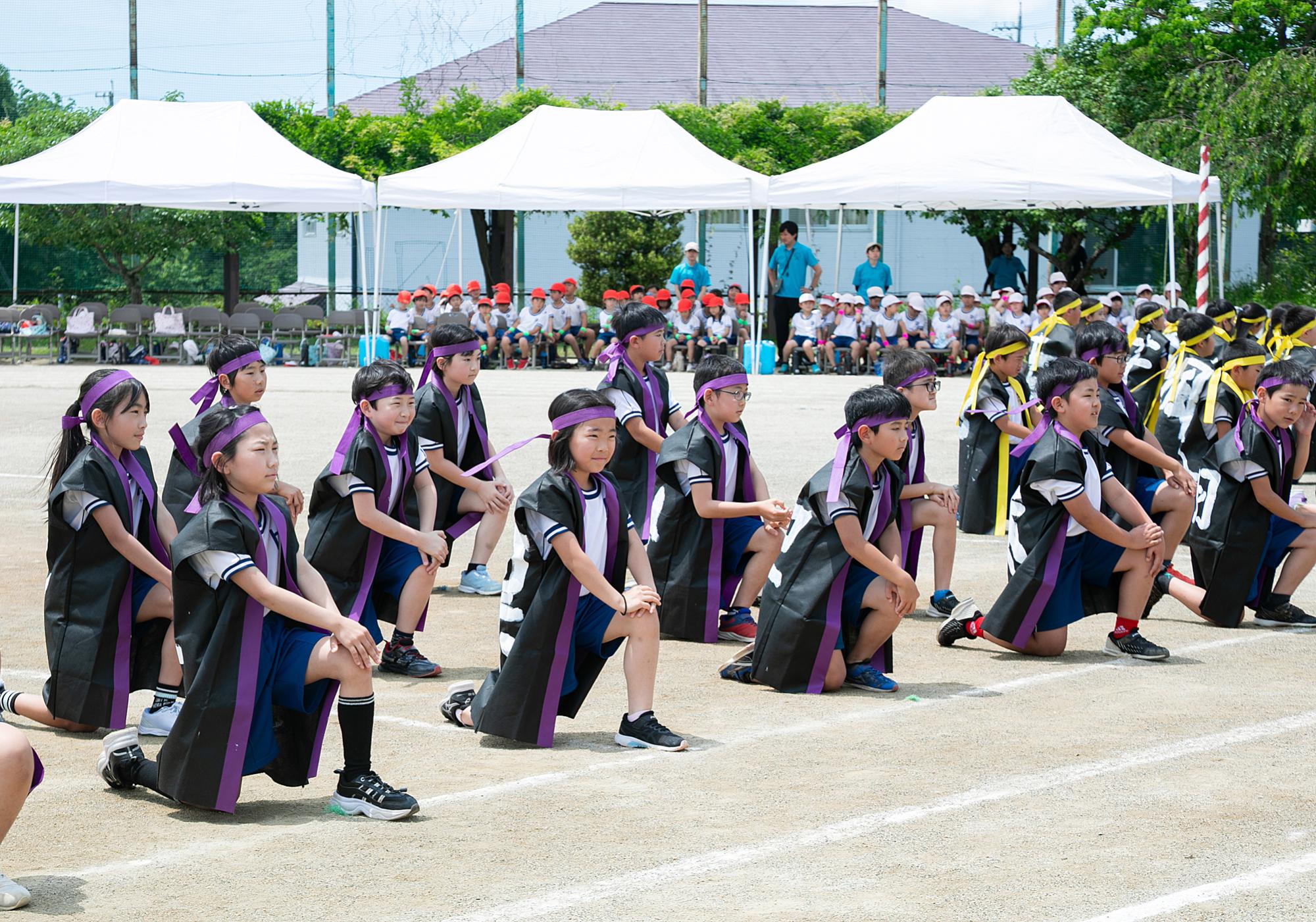 ソーラン節
