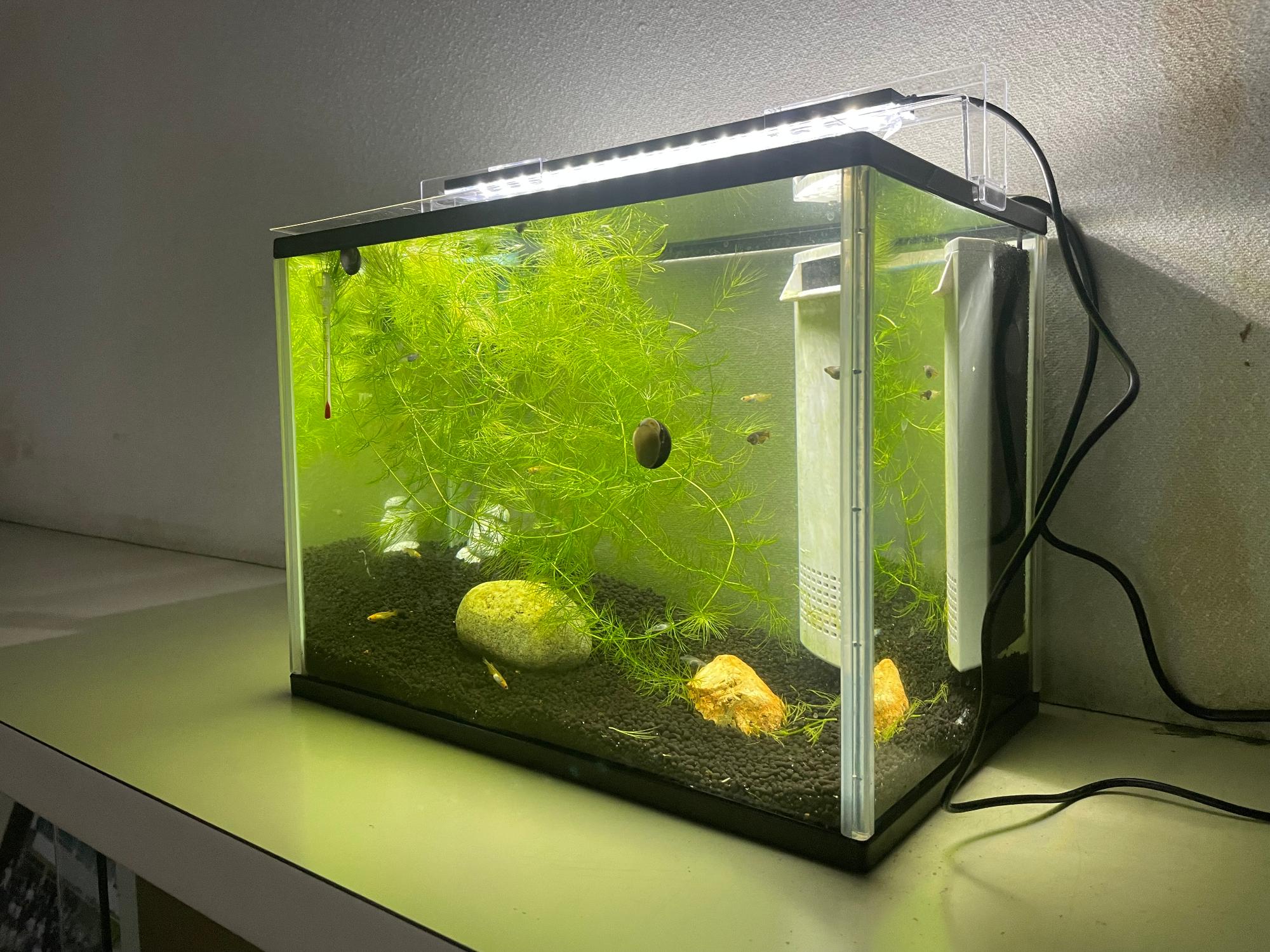 水槽
