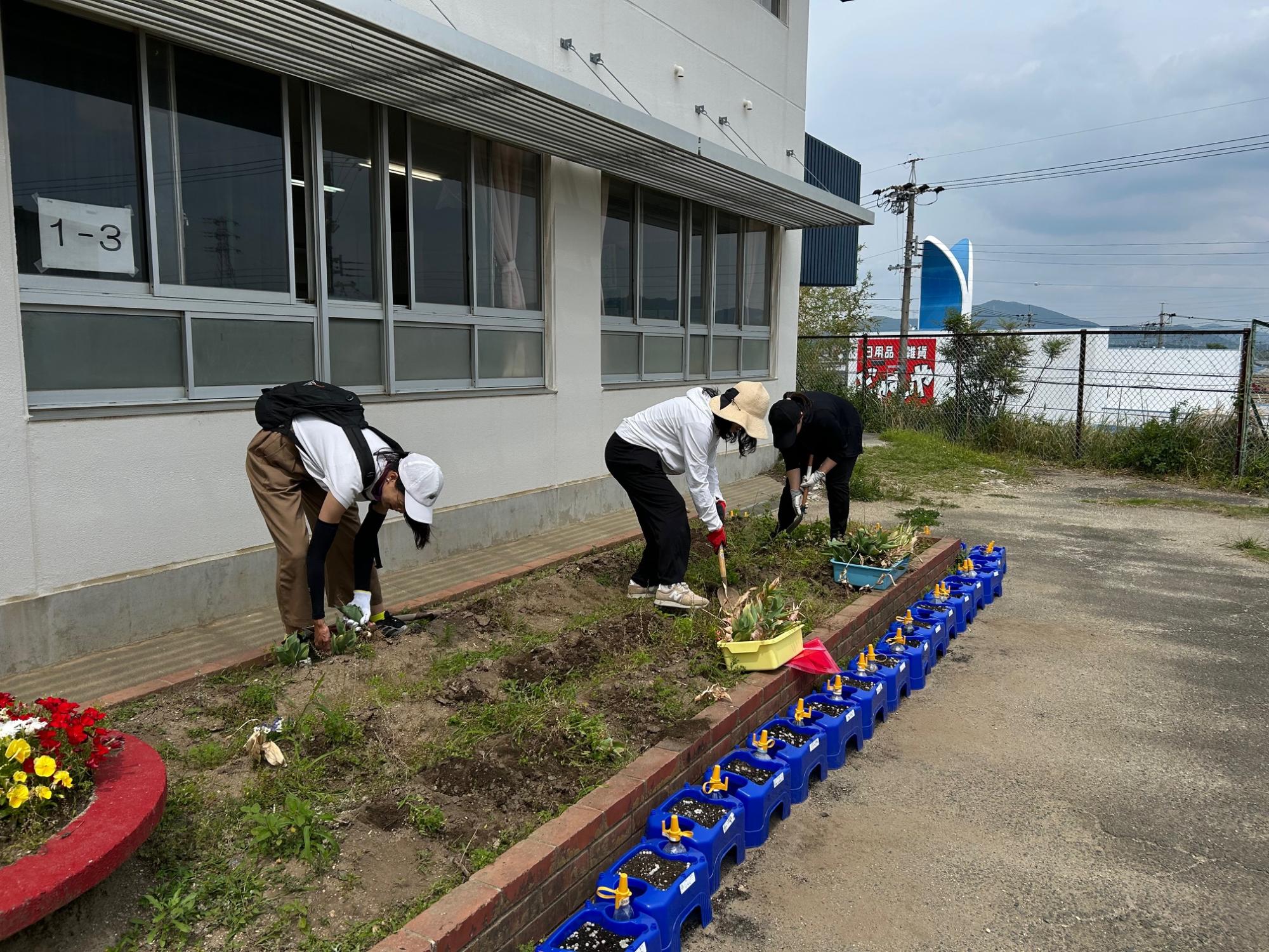 草取り