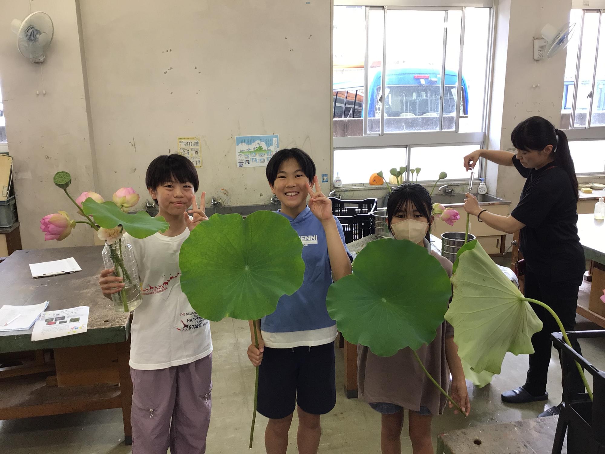 ハス
