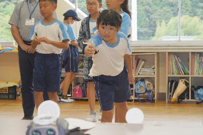よーくねらって!カワセミ班のバキュンバキュン大作戦