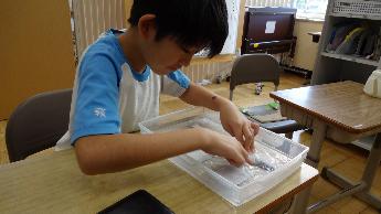 印刷した写真を水の中に