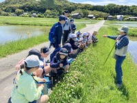 水が張られた田んぼを観察している生徒たちの写真