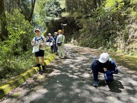 山道を歩いたり、休んでいる生徒たちを写した写真