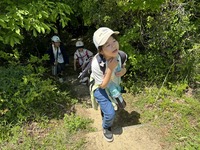 山頂を目指して山の中を歩く子供たちの写真