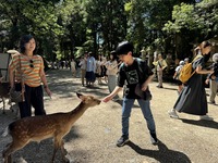 奈良公園で小学生が鹿に餌やりをしている写真