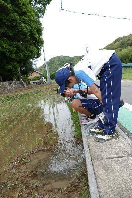 探検☆愛鳥クラブは野鳥だけでない様々な自然を発見します