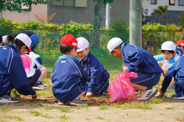 たて割り班ごとにエリアを決めて草を取ります