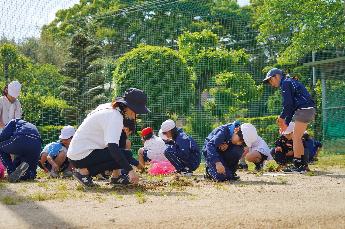 運動場は草も元気です!