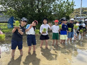 苗をたくさん持って!これを全部植えます!