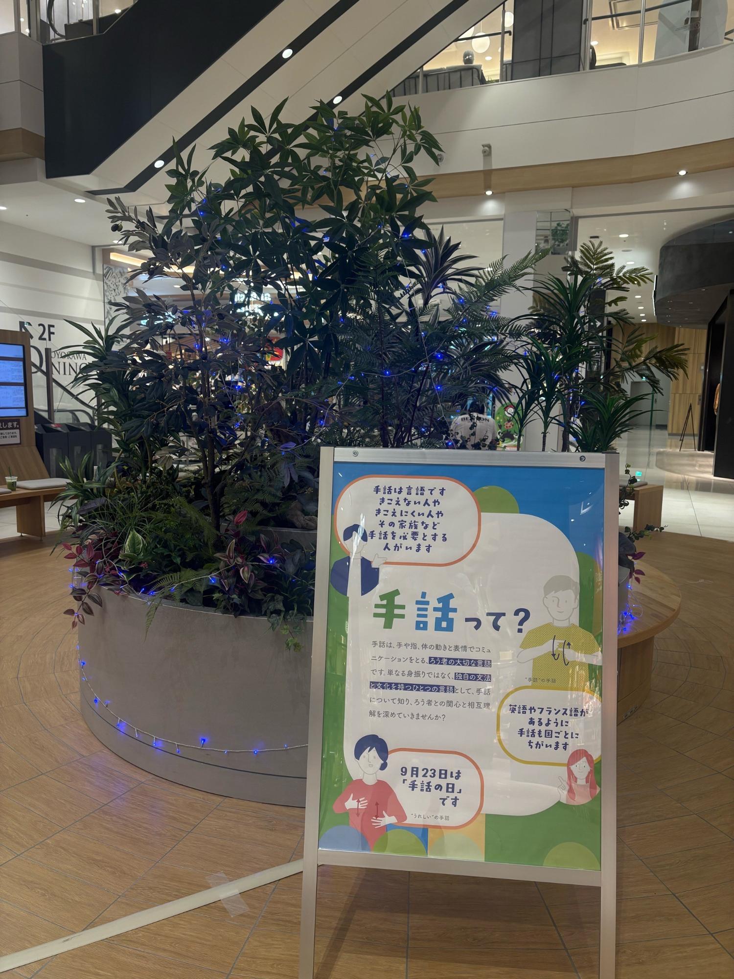 ライトアップの様子