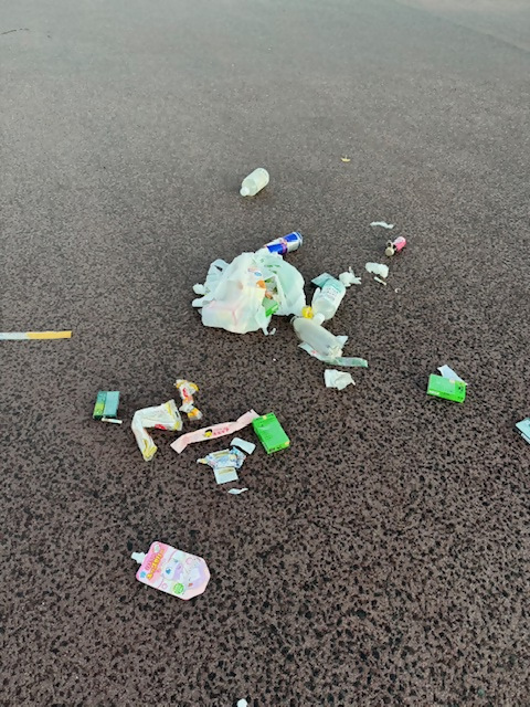 ゴミの散乱状況
