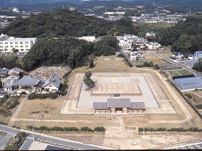 三河国分尼寺跡史跡公園の全景が写った航空写真