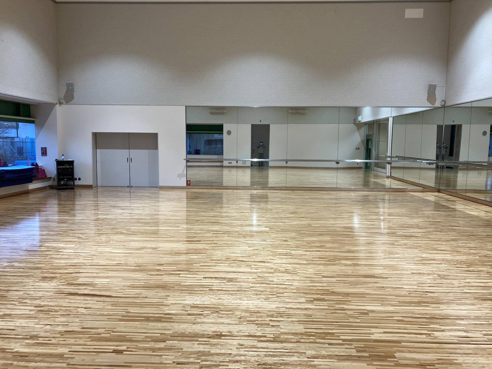 「豊川市総合体育館」レクアリーナの写真