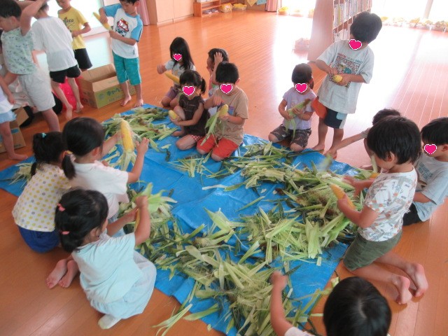 とうもろこしの皮むきの様子