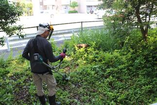 道路沿いで、作業着姿の男性が、草刈り機を使って草刈りをしている写真
