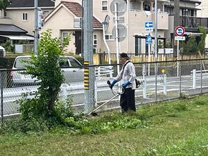一台の自動車が横断歩道の前で停止している道路脇の電柱付近のフェンスのそばで芝生の上に芝刈り機を担いで立つ白い服を着て黒い帽子を逆さに被った男性の写真