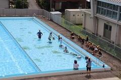 水が張られたプールの中に人が入っていたりプールサイドに複数人が佇んでいる写真