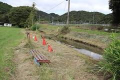 川の周りに雑草地があり赤いコーンが並んで置かれている風景の写真