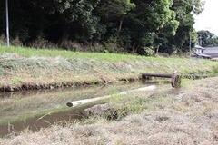 中にパイプが配置されている川のその周りに雑草地がある風景の写真
