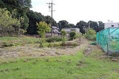 雑草地とその奥に電信柱や住宅がある風景の写真