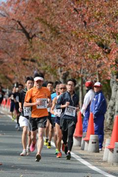 トヨカワシティマラソン大会の写真