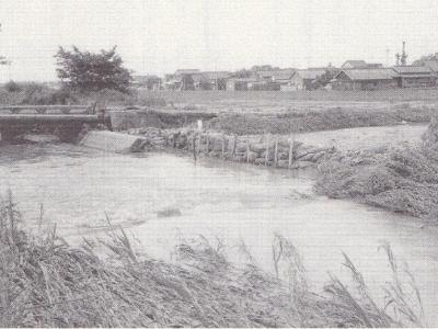 昭和49年七夕豪雨による白川堤防の決壊（市史より）画像