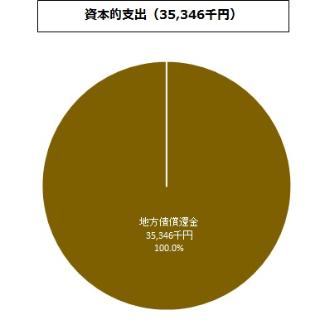 資本的支出グラフ:地方債償還金34,685千円、計34,685千円