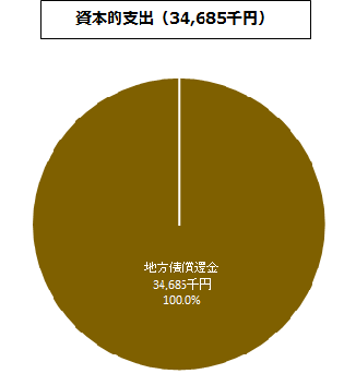 資本的支出グラフ:地方債償還金34,685千円、計34,685千円