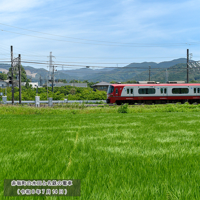 赤坂町の水田と名鉄の電車