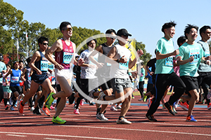 シティマラソンの様子