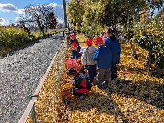 落ち葉を集める児童の様子