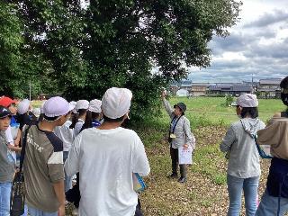 国分寺跡の説明を受ける児童の様子