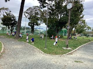 秋見つけを行う児童の様子