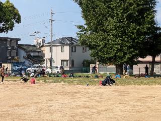 草刈りの様子