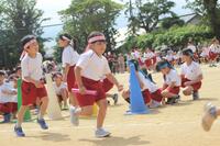 体操着姿にハチマキをした児童達がリレーをしている写真