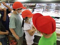 スーパーの店内のような所で陳列されている魚を帽子を被った複数の児童達が見ている写真