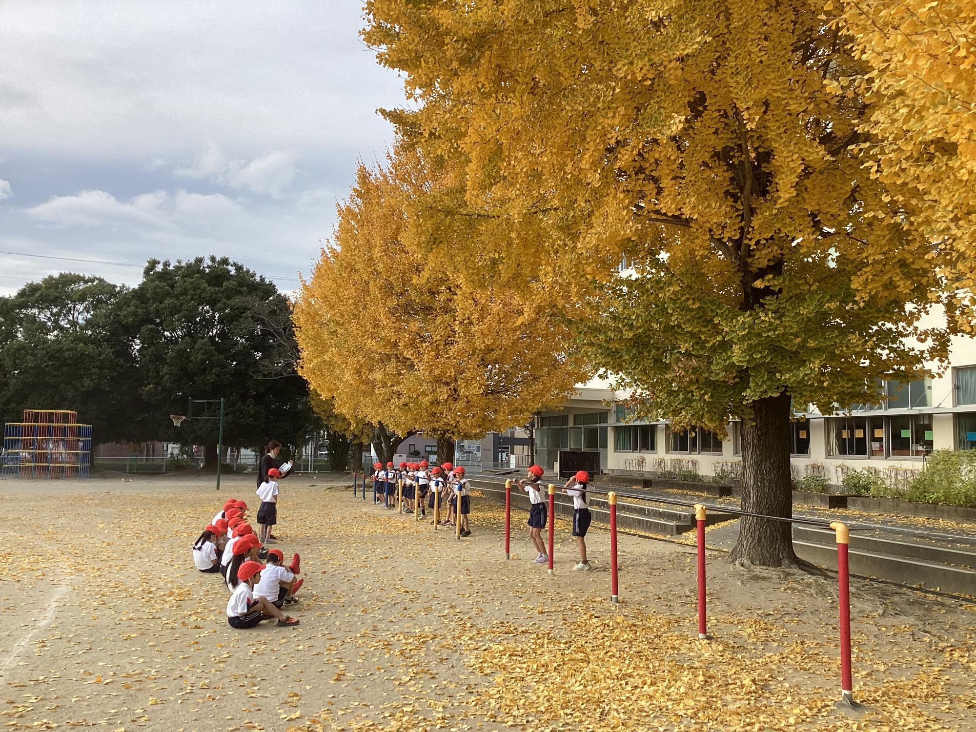 いちょう並木のもと、鉄棒の練習
