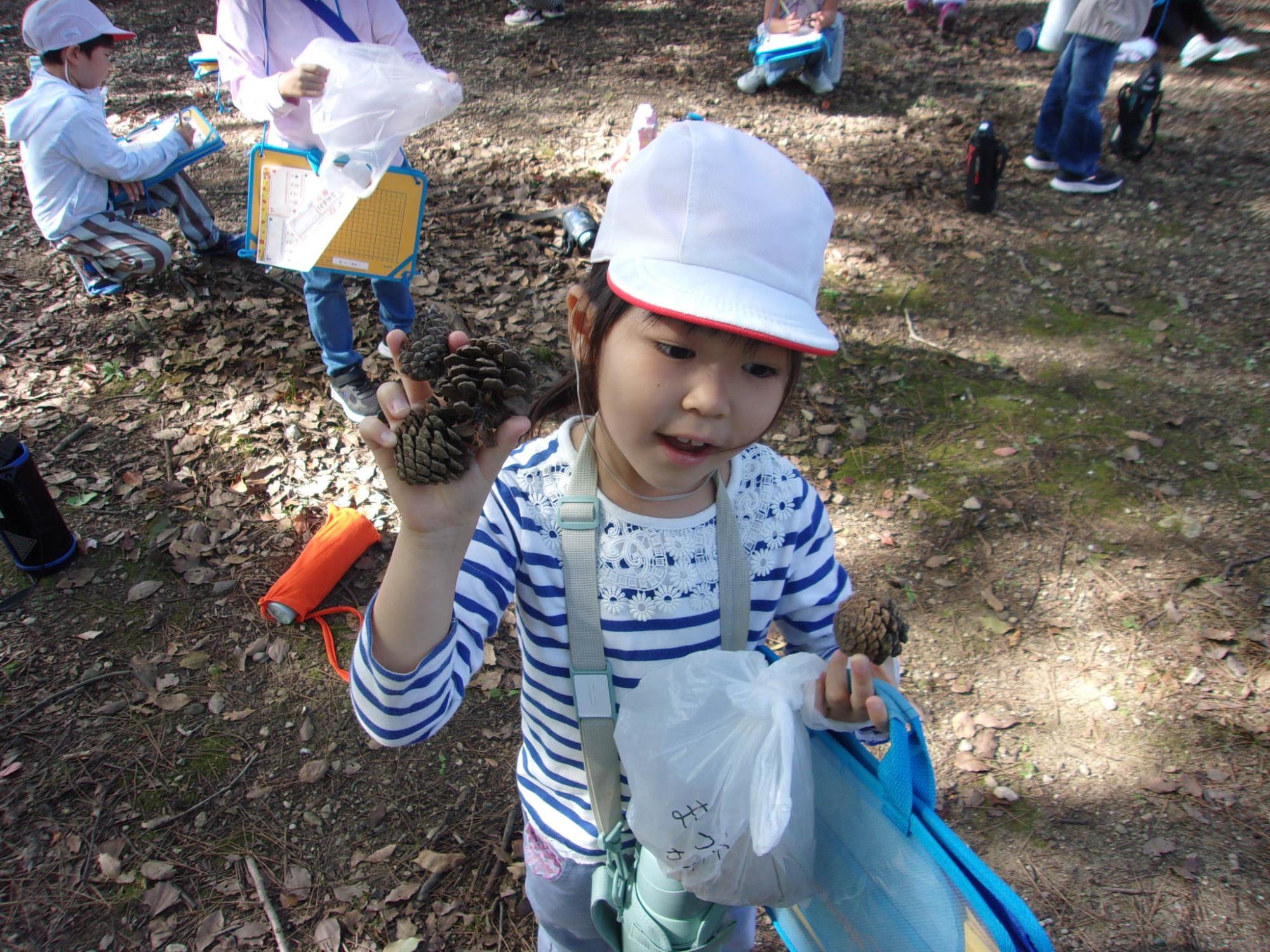 松ぼっくりがあったよ。