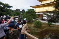 金閣を柵越しに見学している様子の写真