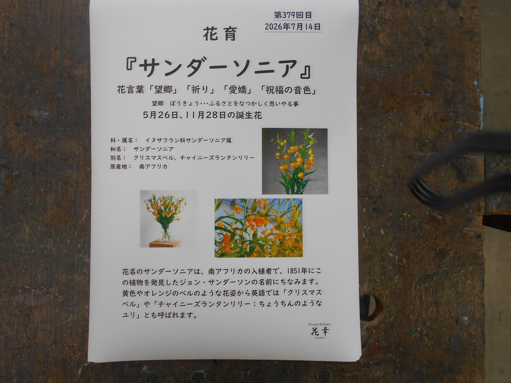 説明書もくれます。