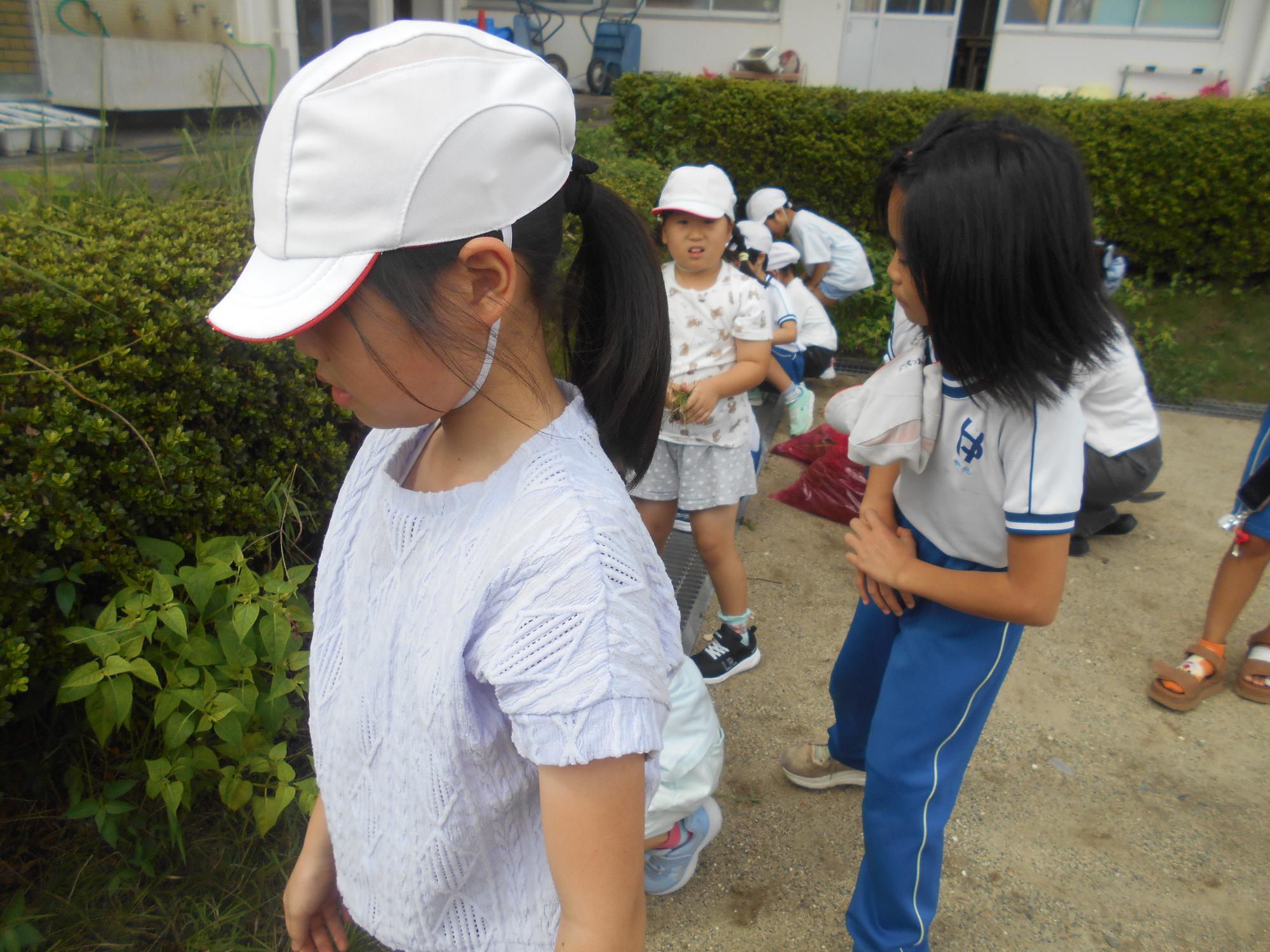 子どもたちも手伝ってくれました。